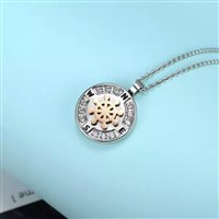 Collier Gaurosa Homme in Acier Zircone 50001603 - 50001603